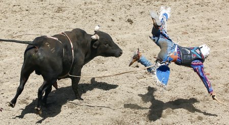 A bull rider takes a spill at annual Laton Lions Club Rodeo.